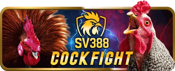 Sự kiện giải đấu OK3686